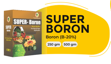 SUPER BORON (Boron (B-20%))
